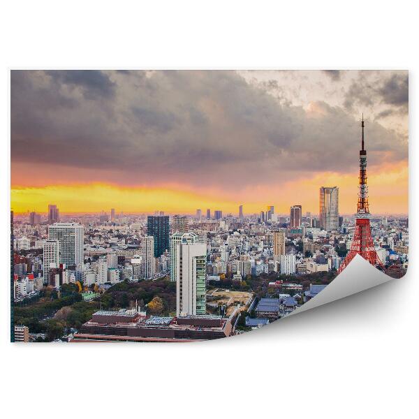 Papier peint Vue d'oiseau Ciel nuageux Tokyo Japon