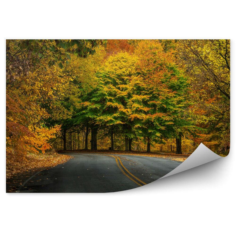 Papier peint Automne dans la forêt