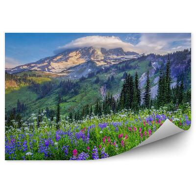 Tapisserie panoramique Paysage de fleurs de montagne