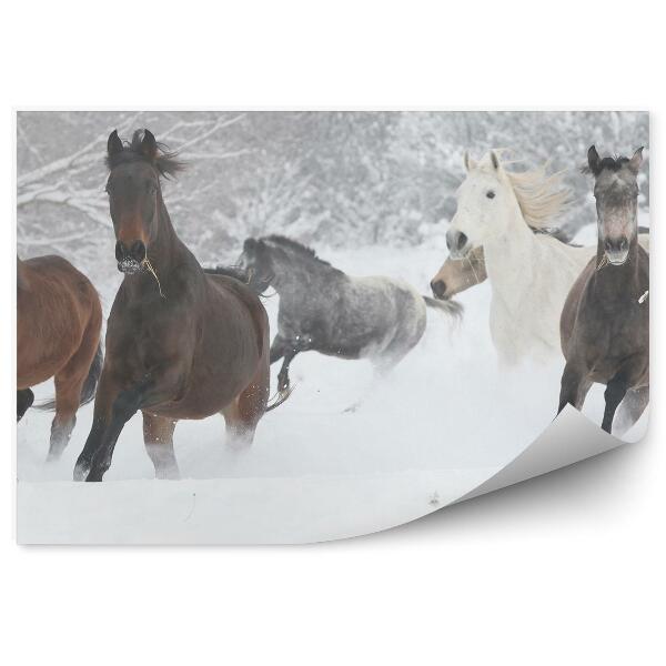 Papier peint Troupeau De Chevaux Courant Arbres Neige Hiver