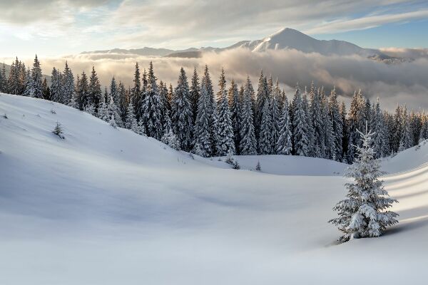 Papier peint panoramique Paysage de montagnes enneigées en hiver