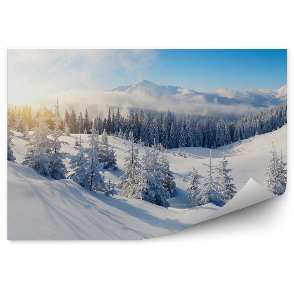 Papier peint Panorama Des Montagnes Paysage D'hiver