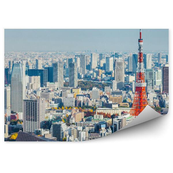 Papier peint Vue d'oiseau Ciel nuageux Tokyo Japon