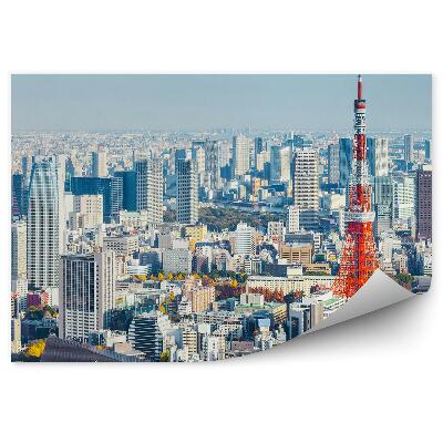 Papier peint Vue d'oiseau Ciel nuageux Tokyo Japon
