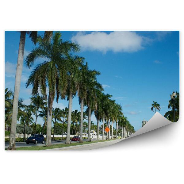 Papier peint Florida palm trees city street cars