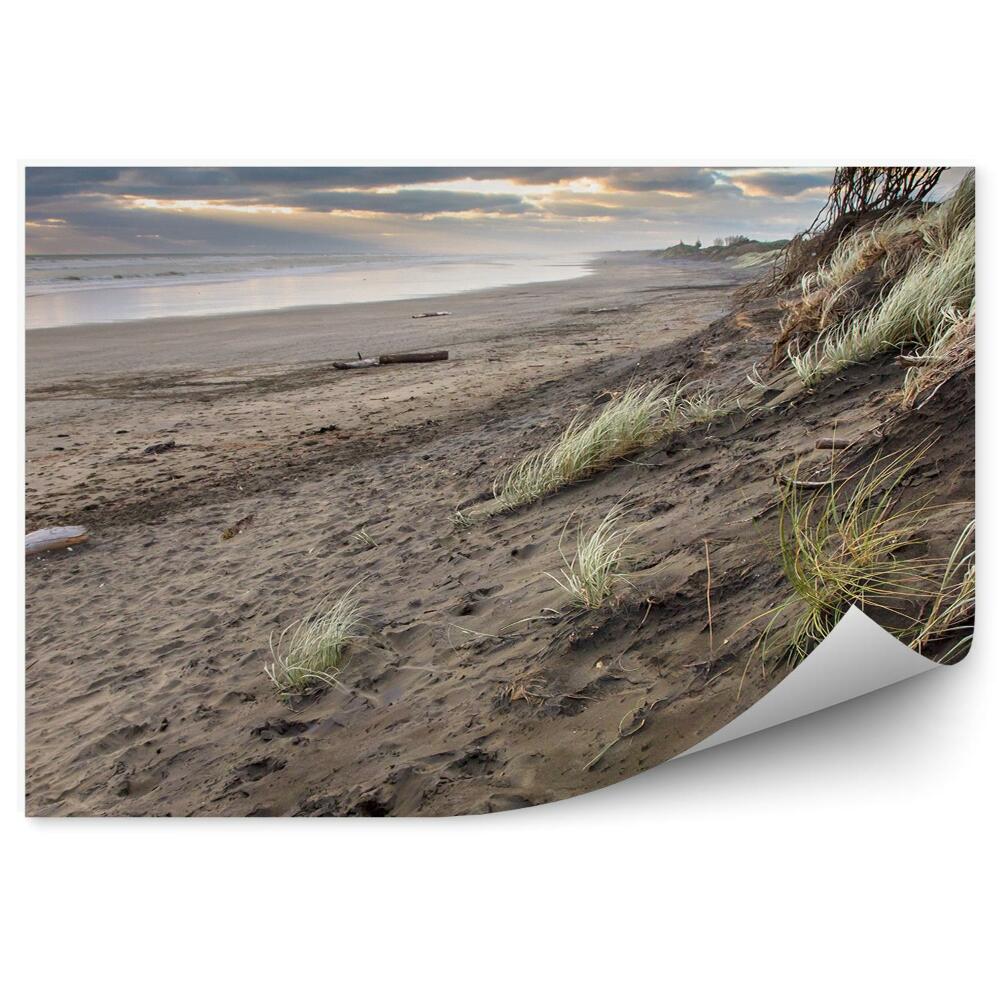 Papier peint Jour D'orage Plage D'herbe Océan Ciel Nuages Muriwai