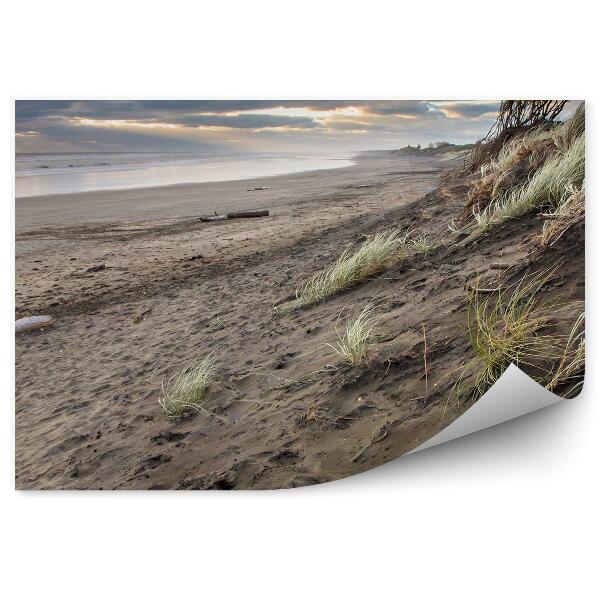 Papier peint Jour D'orage Plage D'herbe Océan Ciel Nuages Muriwai