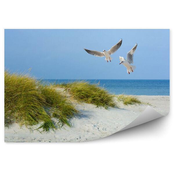 Papier peint Mouettes sur une plage de sable