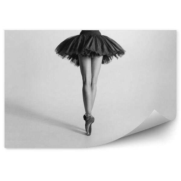 Papier peint Ballerine en noir et blanc