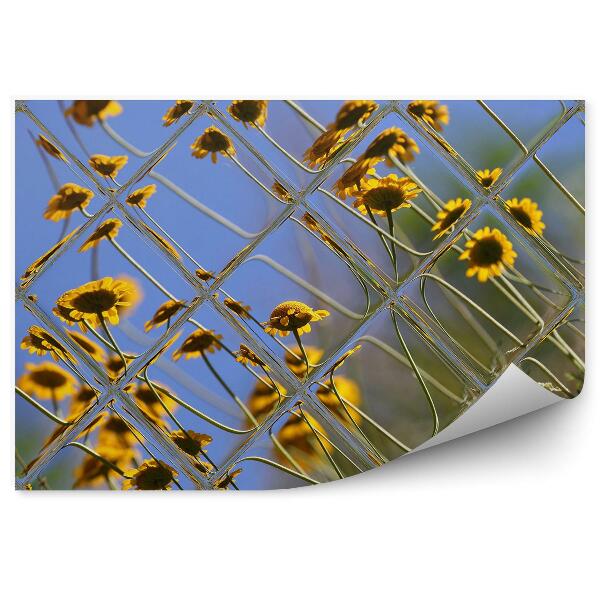 Papier peint Fleurs jaunes champ de prairie vue par la fenêtre