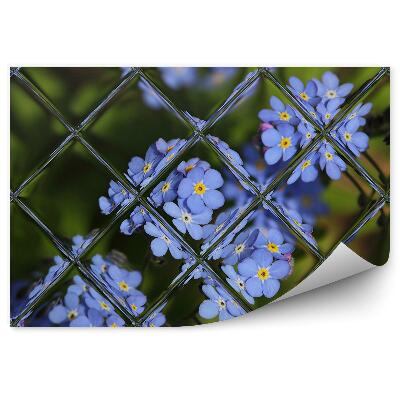 Papier peint Fleurs violettes vue du jardin par la fenêtre