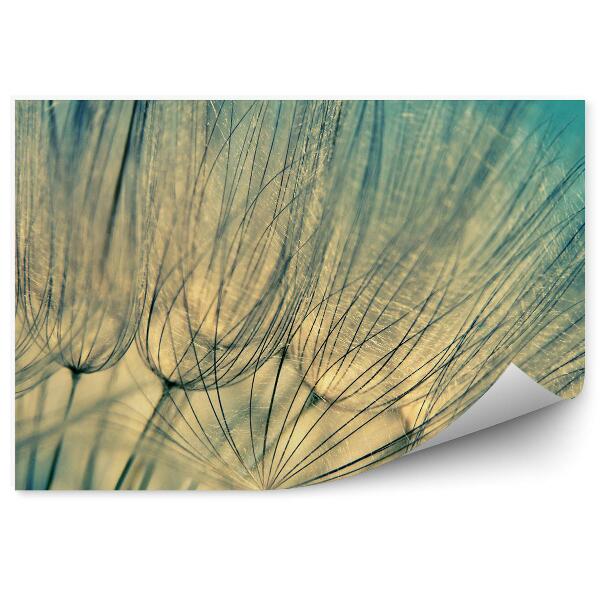 Papier peint Graines de moucheron plantes