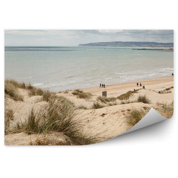 Papier peint Plage Dunes Cambre Océan Gens Ciel Nuages Plantes