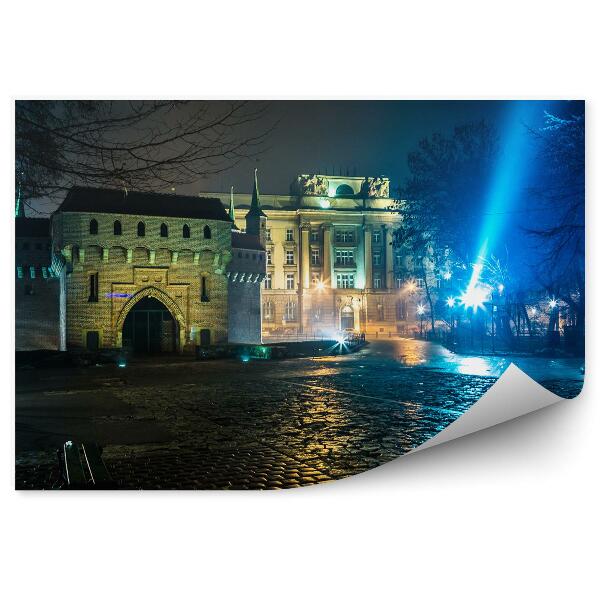 Papier peint Barbican Krakow Path Night Light Trees