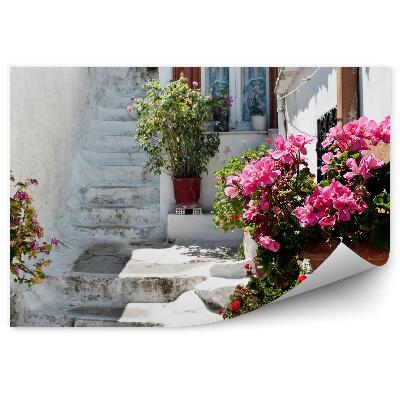 Papier peint Fleurs plantes en pot nature rue blanche