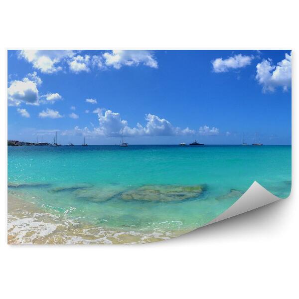 Papier peint Plage tropicale Vagues Mer bleue