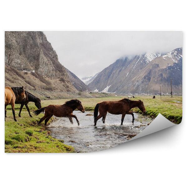 Papier peint Montagnes Troupeau De Chevaux Rivière Herbe Neige