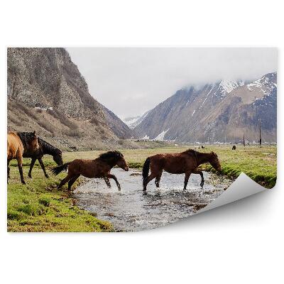 Papier peint Montagnes Troupeau De Chevaux Rivière Herbe Neige