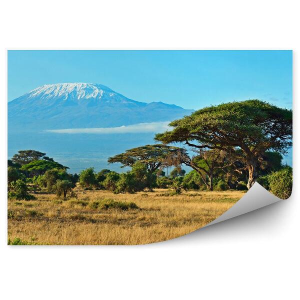 Papier peint Parc National D'amboseli Montagne Neige Hiver Arbres Herbe Ciel Nuages Savane