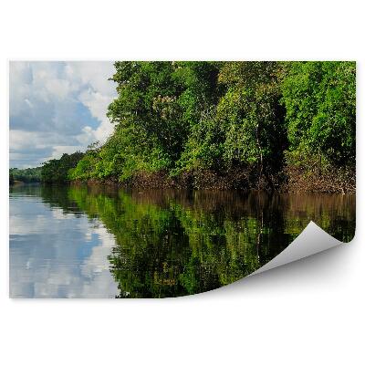 Papier peint Forêts tropicales humides Rivière Ciel Nuages Amazonie