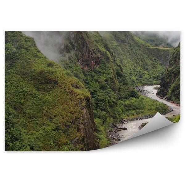 Papier peint Rivière sinueuse Montagnes vertes Brume Plantes Herbes