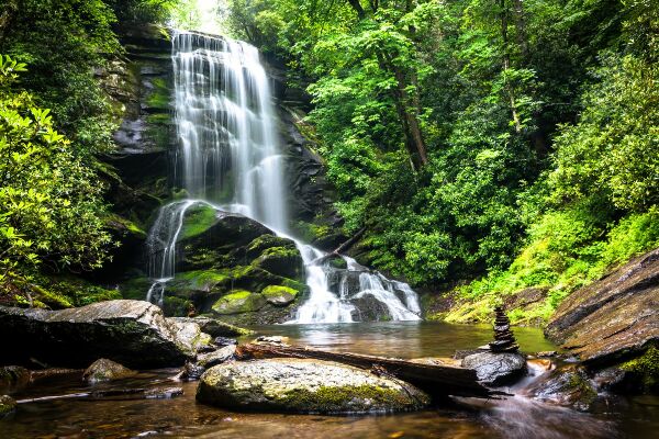 Tapisserie panoramique Cascade dans la verdure de la forêt