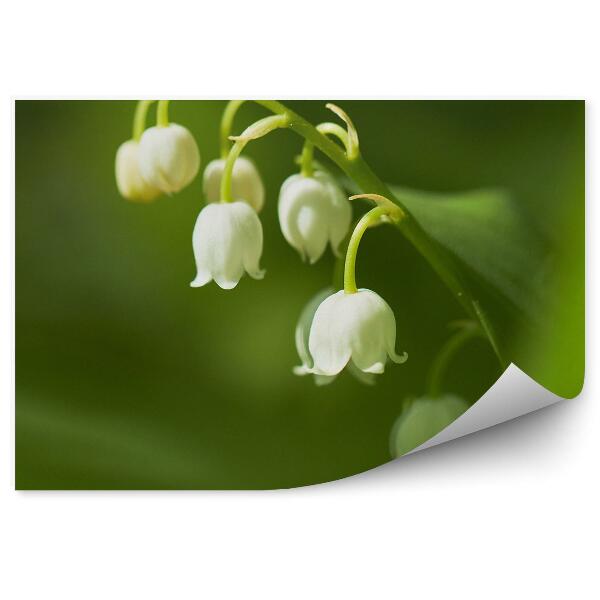 Papier peint Muguet fleur verte