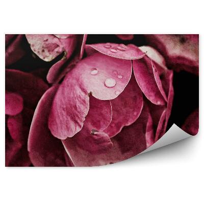Papier peint Fleurs de pivoine rose