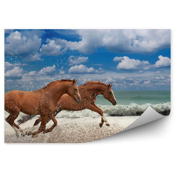 Papier peint Plage Mer Course Chevaux Bruns Ciel