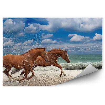 Papier peint Plage Mer Course Chevaux Bruns Ciel