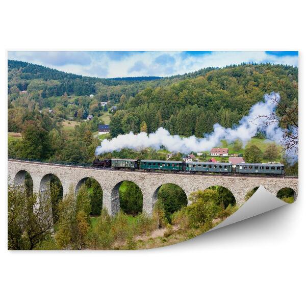 Papier peint Train à vapeur sur le viaduc novina dolina krystofovo république tchèque