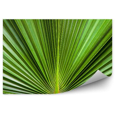 Papier peint Feuille exotique verte étalée