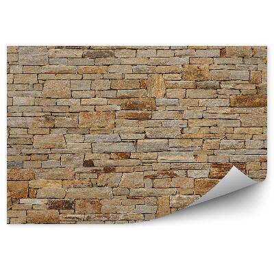 Papier peint Mur de briques multicolores