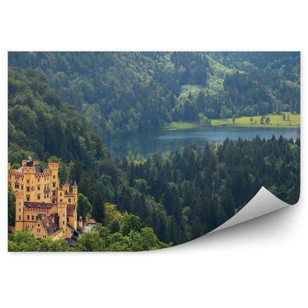 Papier peint Château Hohenschwangau Alpes Bavaroises Lac Conifères Montagnes