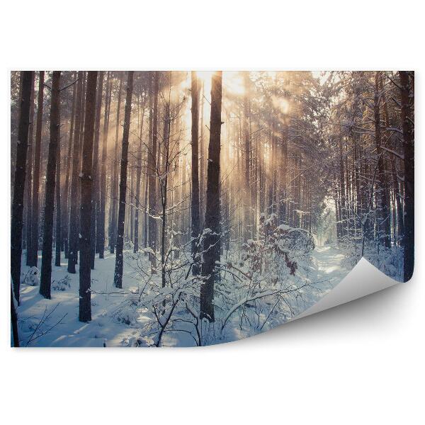 Papier peint Forêt D'hiver, Branches En Forme De Cœur