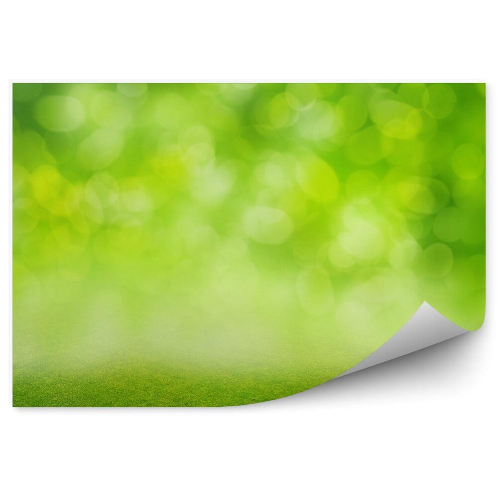Papier peint Herbe coupée Fond vert Abstrait