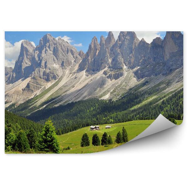 Papier peint Sentier Alpes Montagnes Conifères Ciel Nuages Vue