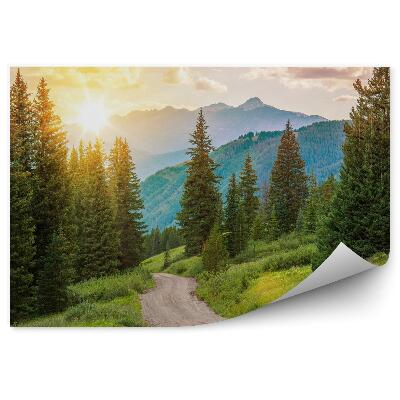 Papier peint Paysage de forêt de montagne