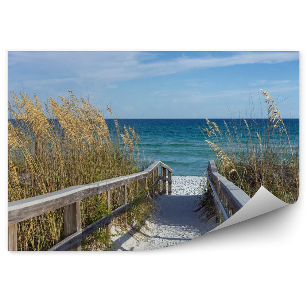 Papier peint Promenade en bord de mer avec dunes et épis d'uniola