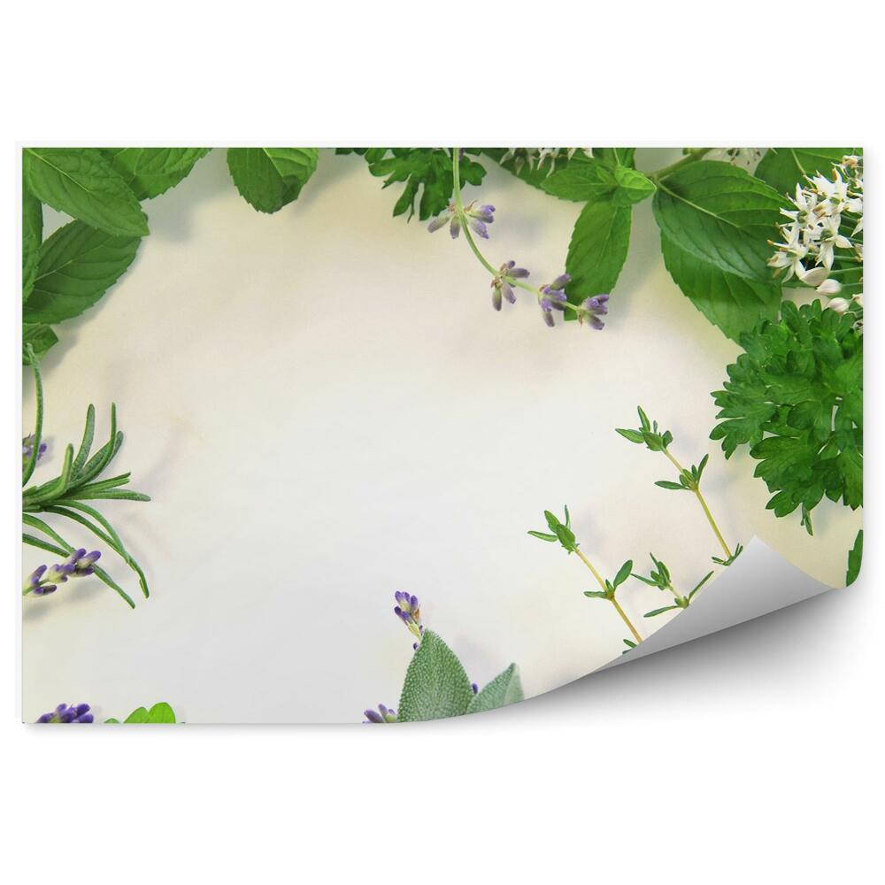 Tapisserie murale Cadre composition herbes fraîches nature