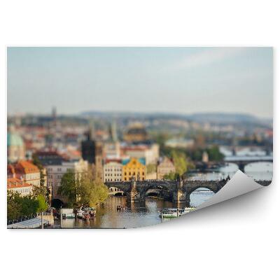 Papier peint Panorama De La Ville Pont De La Vltava Prague Bateaux Ferry