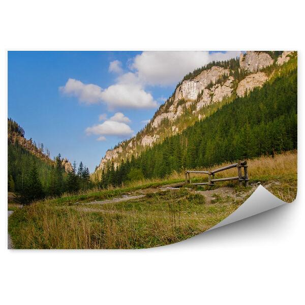 Papier peint Montagnes Des Tatras Neige Forêt Herbe Chemin