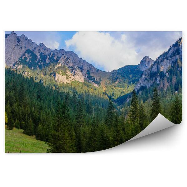 Papier peint Tatras Montagnes Neige Arbres Forêt Herbes Nuages Ciel