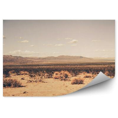 Papier peint Désert Du Sud De La Californie