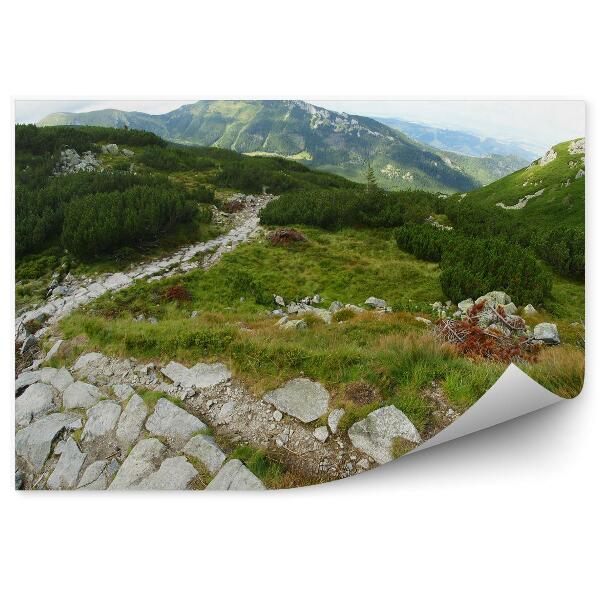 Papier peint Tatras Montagnes Arbres Pierres Ciel Nuages