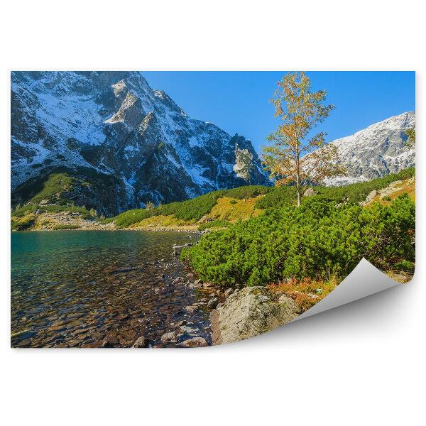 Papier peint Surface verte de l'eau à Morské oko Tatry