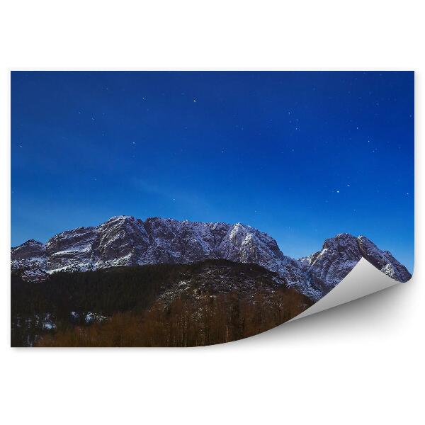 Papier peint Vue Giewont Tatra Conifères Ciel Étoiles Montagnes Neige