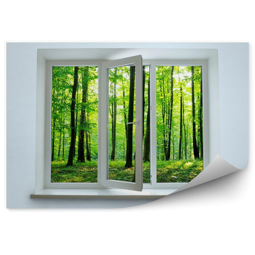 Papier peint Vue d'une forêt verte en été à travers une fenêtre ouverte