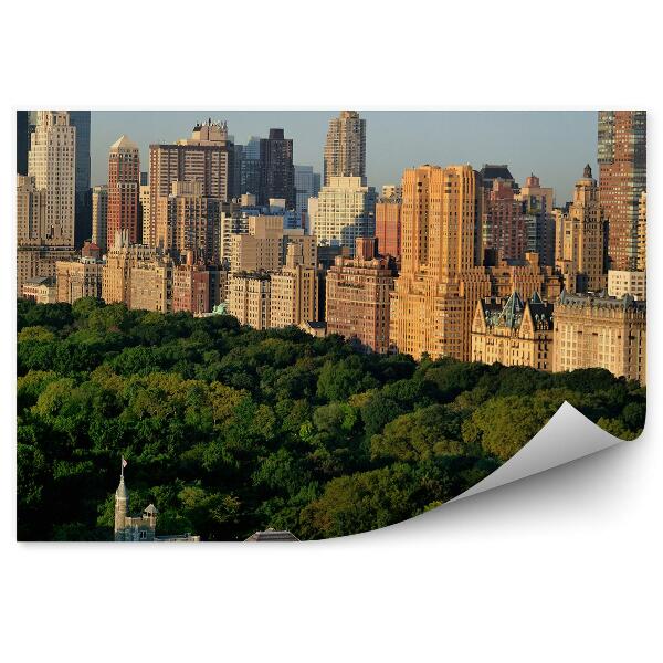 Papier peint Château du Belvédère Arbres Gratte-ciel Vue de la ville de New York