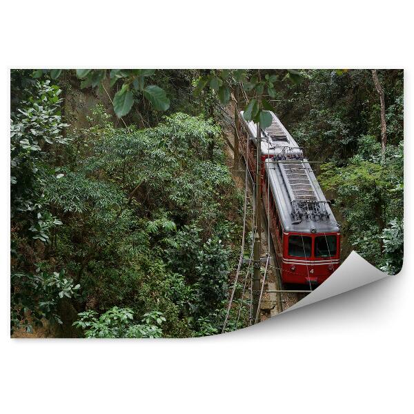 Papier peint Train brésilien rouge jungle nature végétation